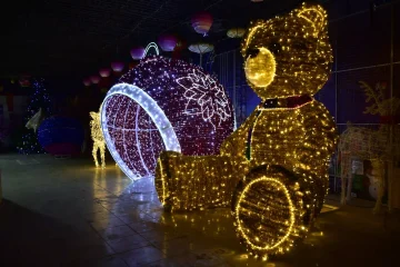 25 Best Holiday Light Displays