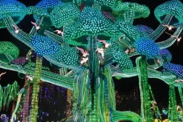 513dc71ebc05f6e88fae053cbb27414f