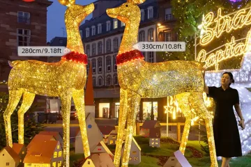 Giant LED Christmas Reindeer (3)