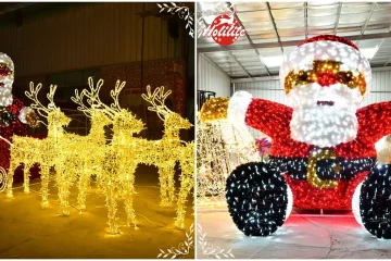 How to Attach Christmas Lights(2)