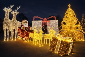 Lumières de Noël LED pour l'extérieur