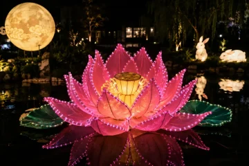Mid-Autumn Lotus Lantern Display