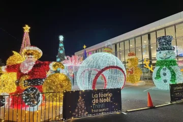 Outdoor Christmas Light Installations