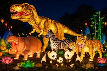 What Animals Are Associated with Lanterns