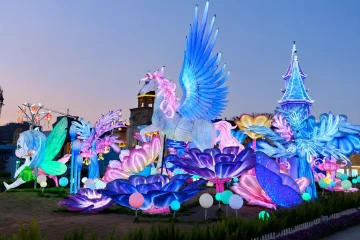 What Are Fairy Tale Lights