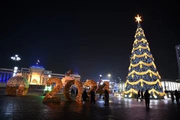 What Kind of Tree Is a Christmas Tree